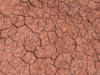 REVITALIZING INGROUND ‘CLAY SOIL’ WITH AMENDMENTS