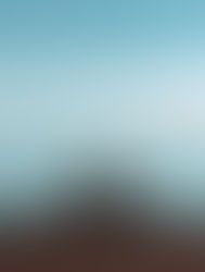 Person sitting alone on a bench overlooking a calm expanse of water, reflecting on feelings of loneliness and solitude.
