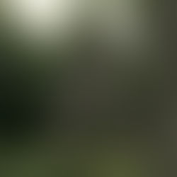 Mittelalter - Personen alphabetisch gereiht