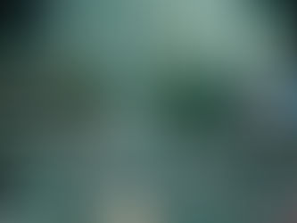 Você não é todo mundo