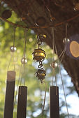 Image by Rebecca Matthews