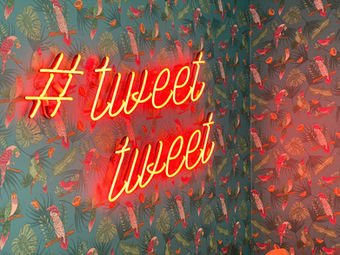 FIFTY3 FRIDAYS: TO TWEET OR NOT TO TWEET