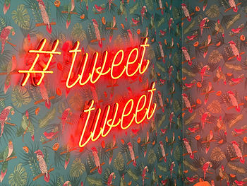 Neon sign saying: tweet tweet good news
