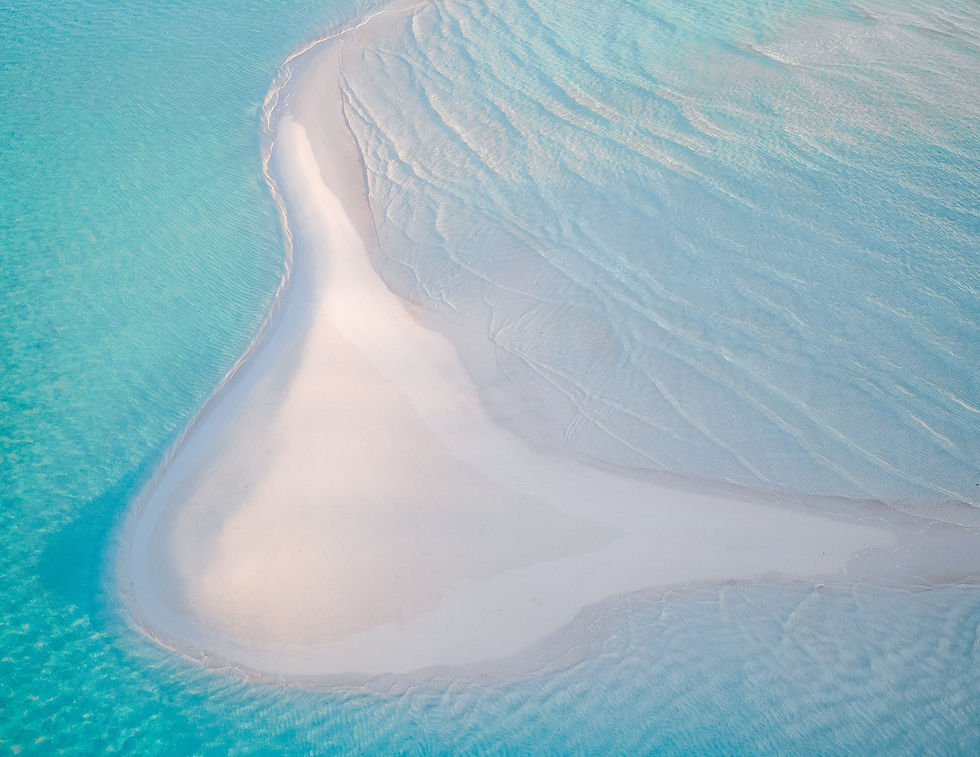 Image by Ryan Geller