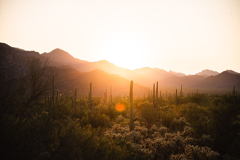 Image by Jacob Diehl