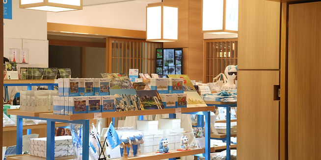 Airplane Wing_edited_edited.png