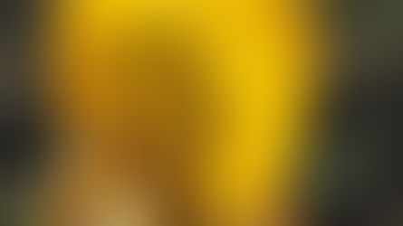 ¿Qué es el Ego y por qué se habla tanto de él?