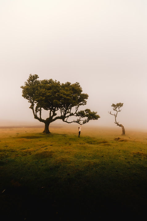 Image by Daniel J. Schwarz