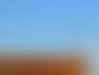 Tuiles poreuses : comment les reconnaître et que faire ?