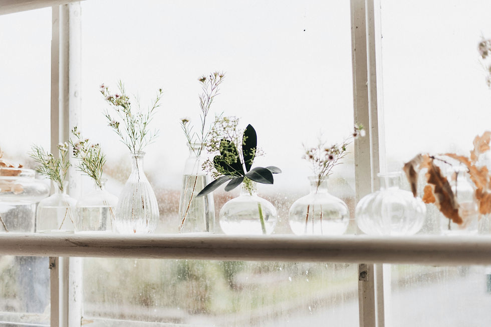 Image by Annie Spratt