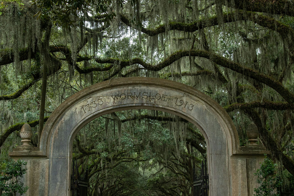 Stone archway in moss-draped oak grove at Wormsloe, engraved 1733–1913, with a quiet, historic mood.