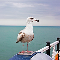 Image by Julie Michaud