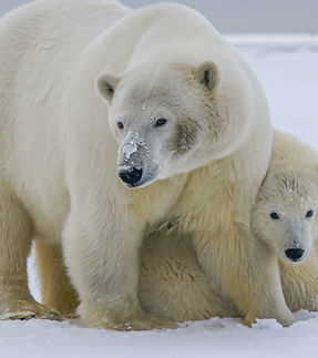 Image by Hans-Jurgen Mager