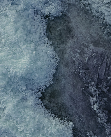 Image by Krista Ungursps