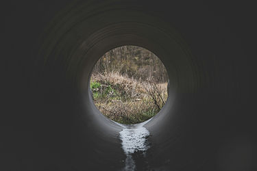 Image by Tonia Kraakman