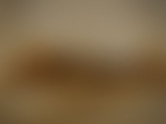 Workers’ Comp Insurance for Mold Remediation Companies in Texas