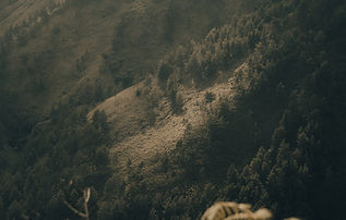 Image by Leo Sagala