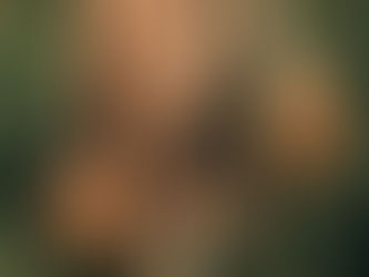 Country Girl is Going off the Market!