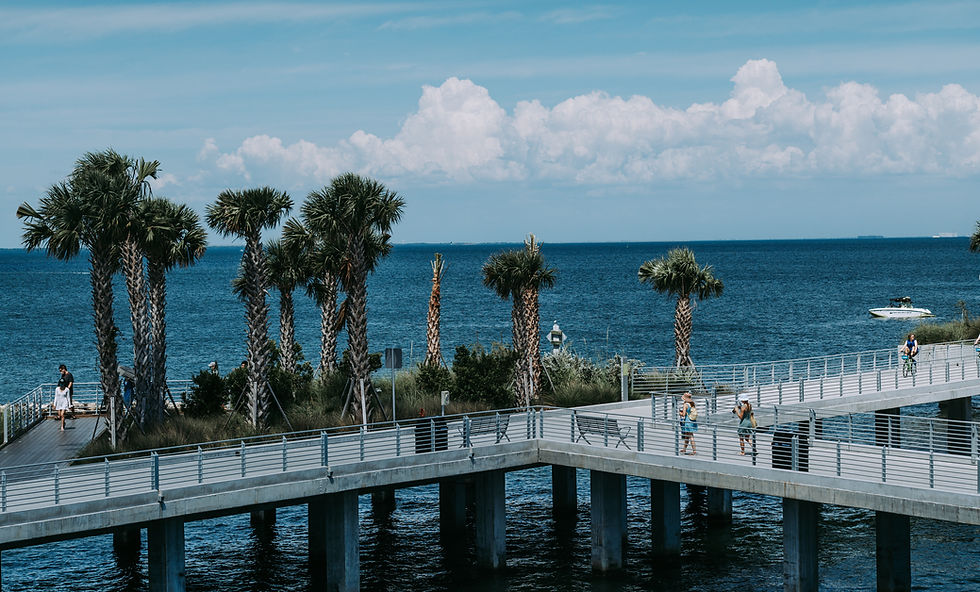 St. Petersburg and Tampa Florida Lawyer