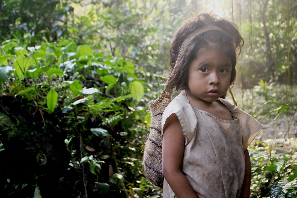 Ameaças e vulnerabilidades