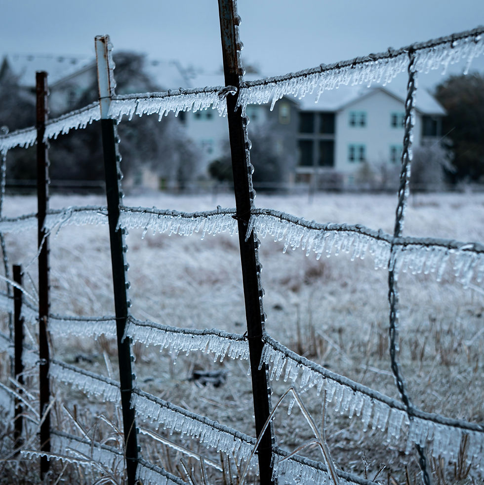 freezing Temperatures