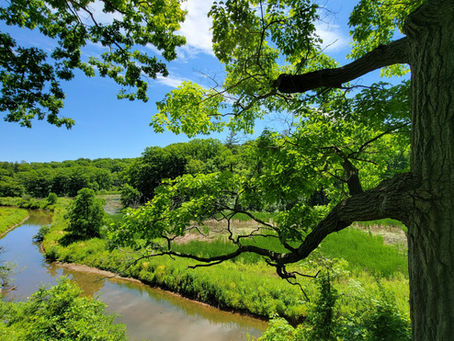 Conservation Efforts and Opportunities in North Carolina