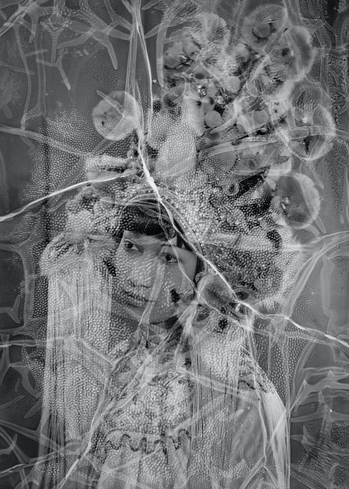 Image by Unseen Histories