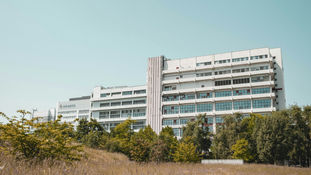 Novartis als Arbeitgeber in der Schweiz: Eine Bewertung