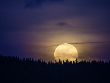 Montana Moon
