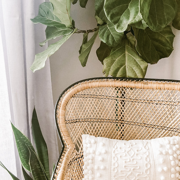 Image by Stephanie Harvey