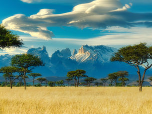 Into the Wild: Unforgettable Off-the-Beaten- Path African Safaris with World Tribe Tours