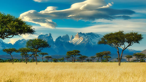 Image by Thomas Bennie
