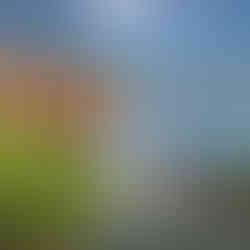 Top Activities in Kashmir, Srinagar, pahalgam, Gulmarg , Sonmarg and Doodhpathri