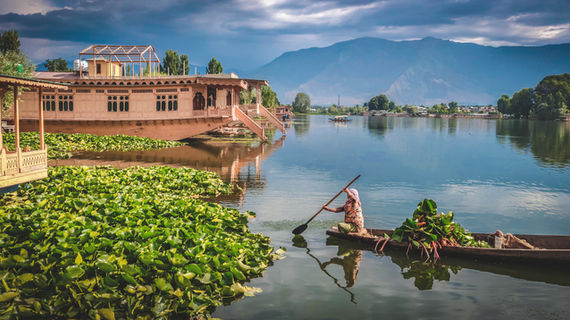 Image by Divya Agrawal