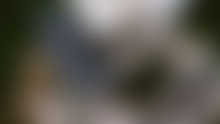 An Anxious Officer Waits for his Lover