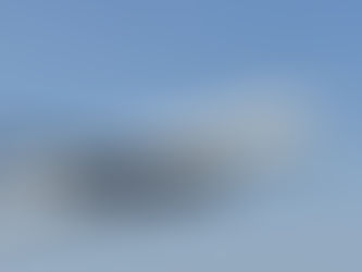 A Vacation Away From the Squawk Flock