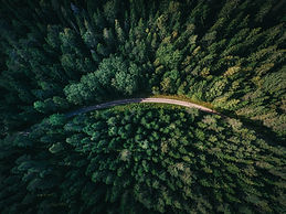 Image by Geranimo