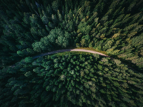 Image by Geran de Klerk