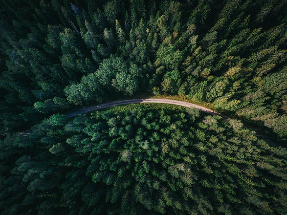 Image by Geran de Klerk