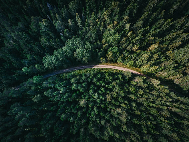 Image by Geranimo