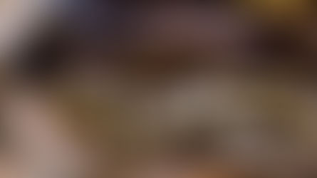 Référé expertise : la preuve d’une zone humide et d’espèces protégées arrachée par les associations