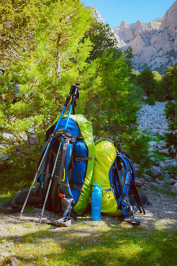 Image of blue backpack and green pack cover with hiking sticks by Mohammad Alizade