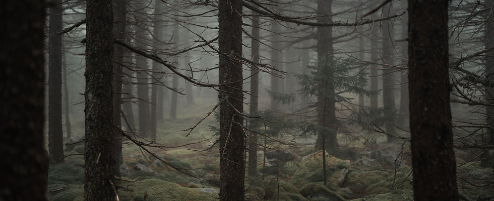 Image by Jack Prommel