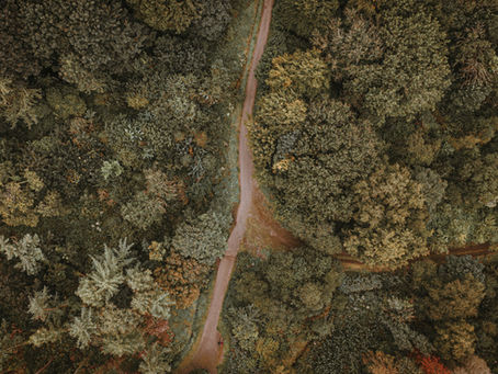 Can I Get an Unsecured Loan for My Business?