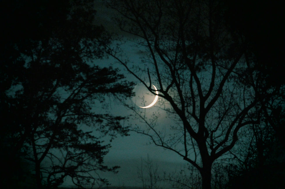 Image by Haley Owens