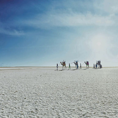 Image by Rann Utsav The Tent City