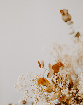 Image by Annie Spratt