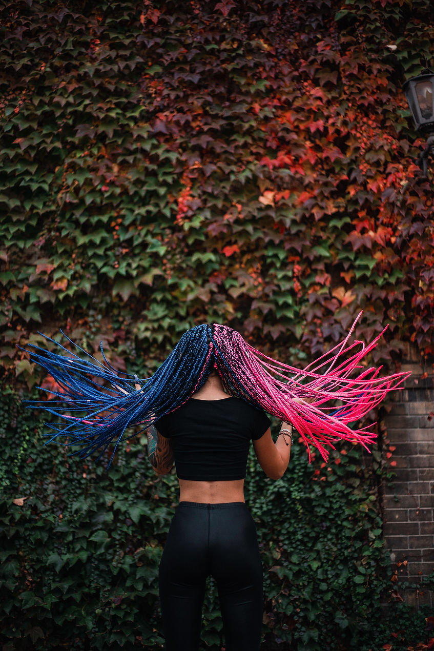 Image by Nikola Topić