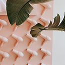 Image by Tessa Edmiston