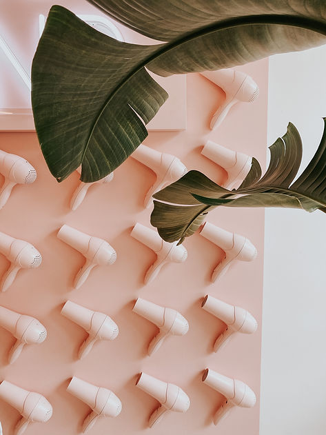 Image by Tessa Wilson